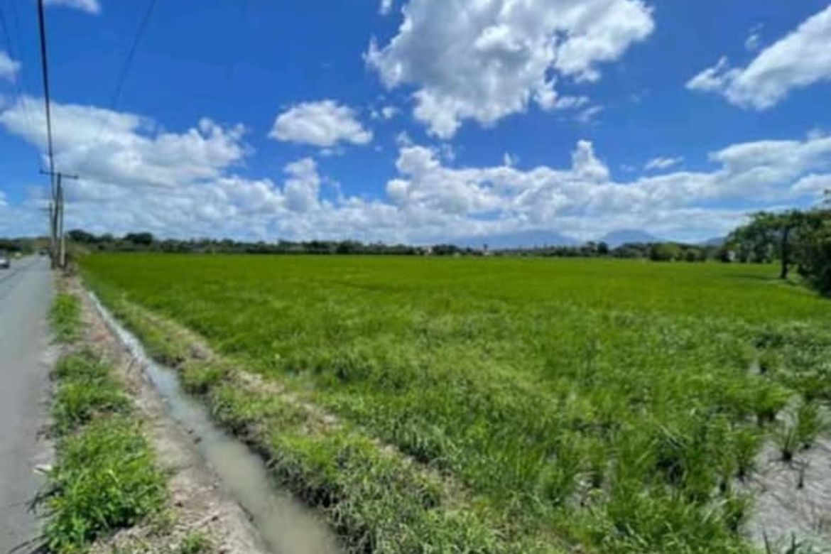 Land for Sale in Bulilan Sur, Pila, Laguna – photo 2