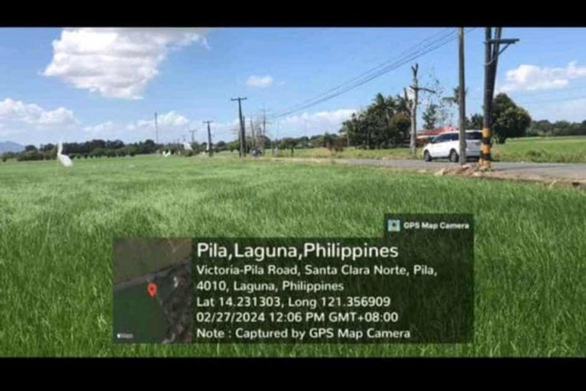 Land for Sale in Bulilan Sur, Pila, Laguna – photo 3