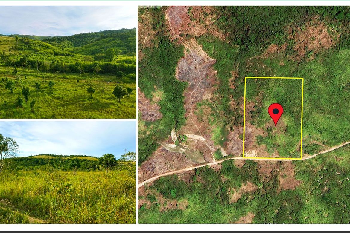 Land for Sale in Buluang, Busuanga, Palawan