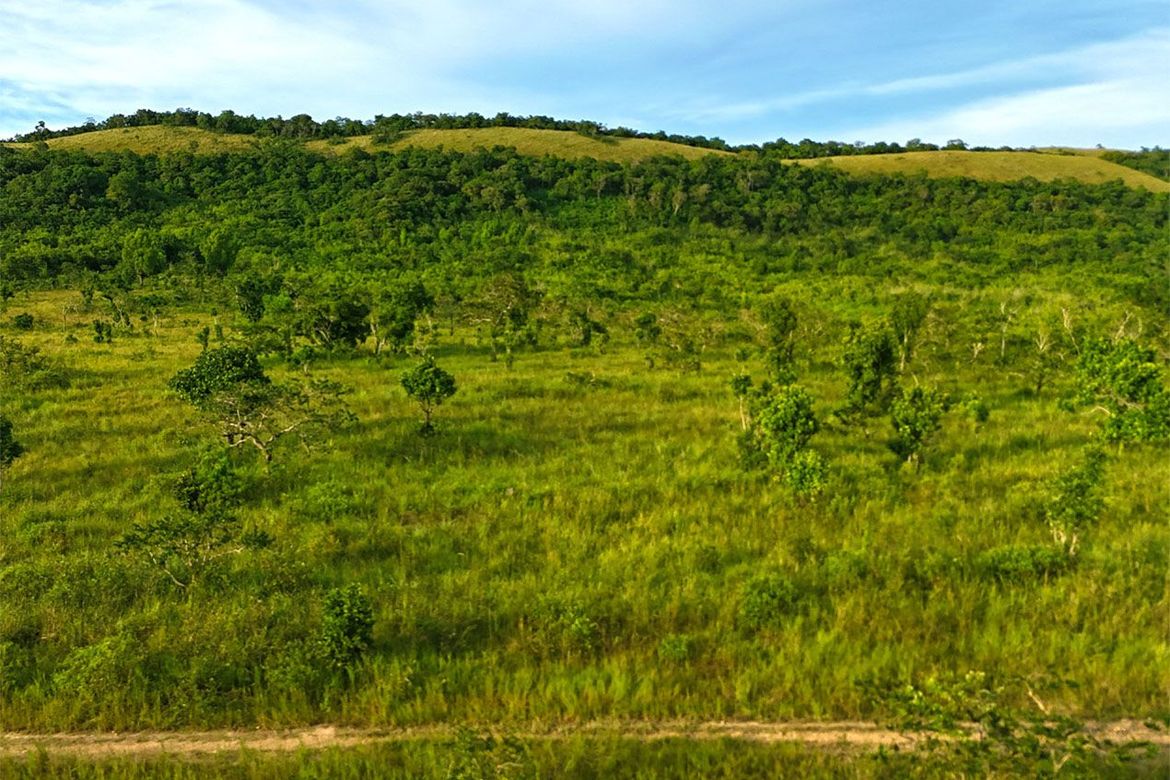 Land for Sale in Buluang, Busuanga, Palawan – photo 3