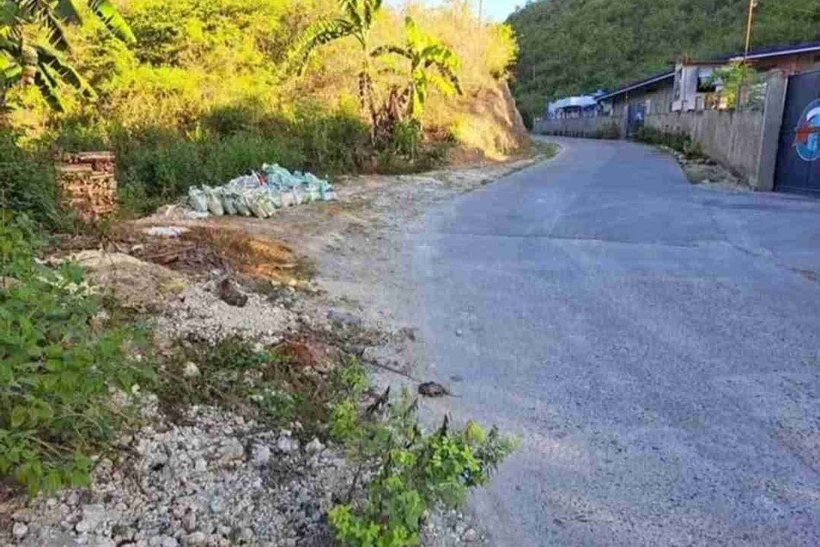 Land for Sale in Buluang, Compostela, Cebu – photo 4
