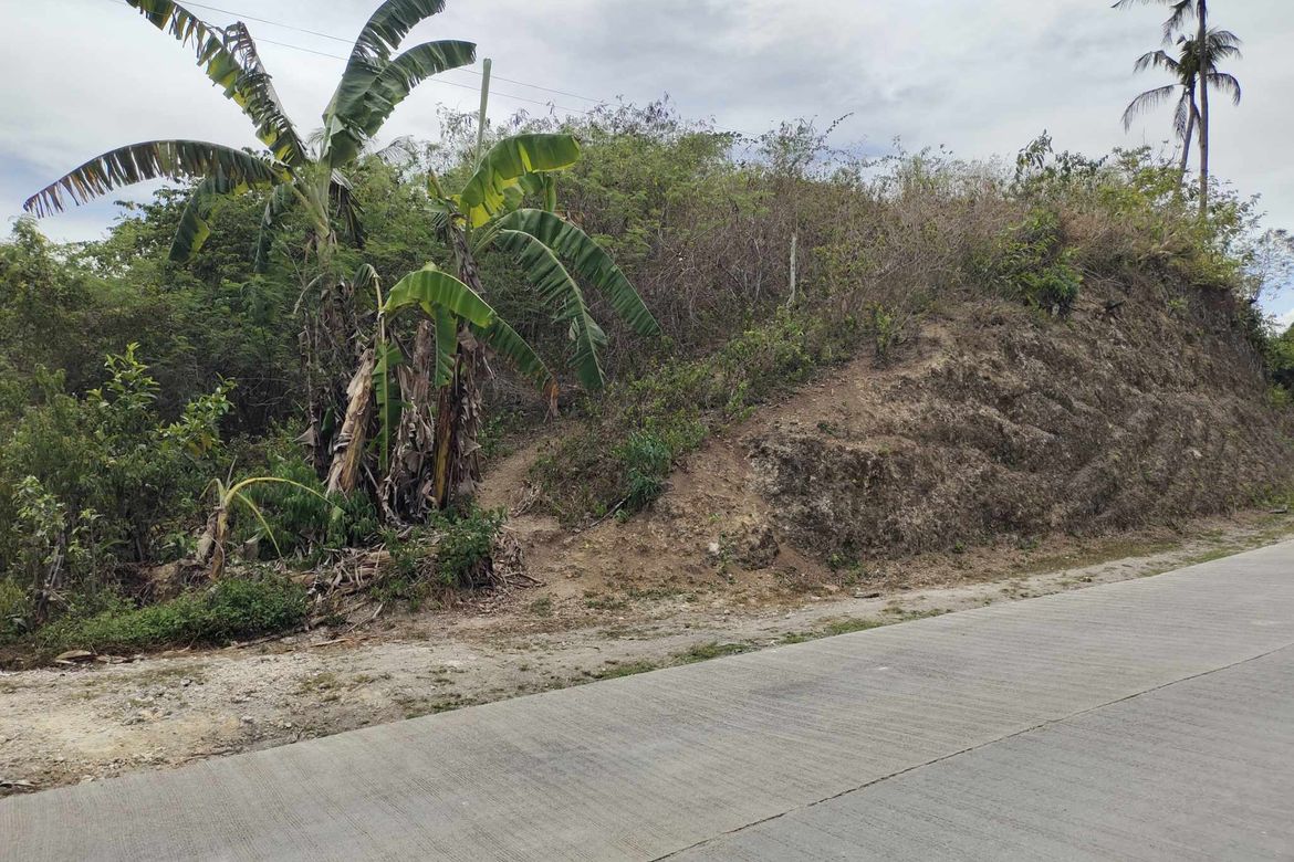 Land for Sale in Buluang, Compostela, Cebu – photo 6