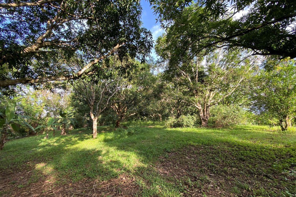 Land for Sale in Bulusukan, San Ildefonso, Bulacan – photo 3