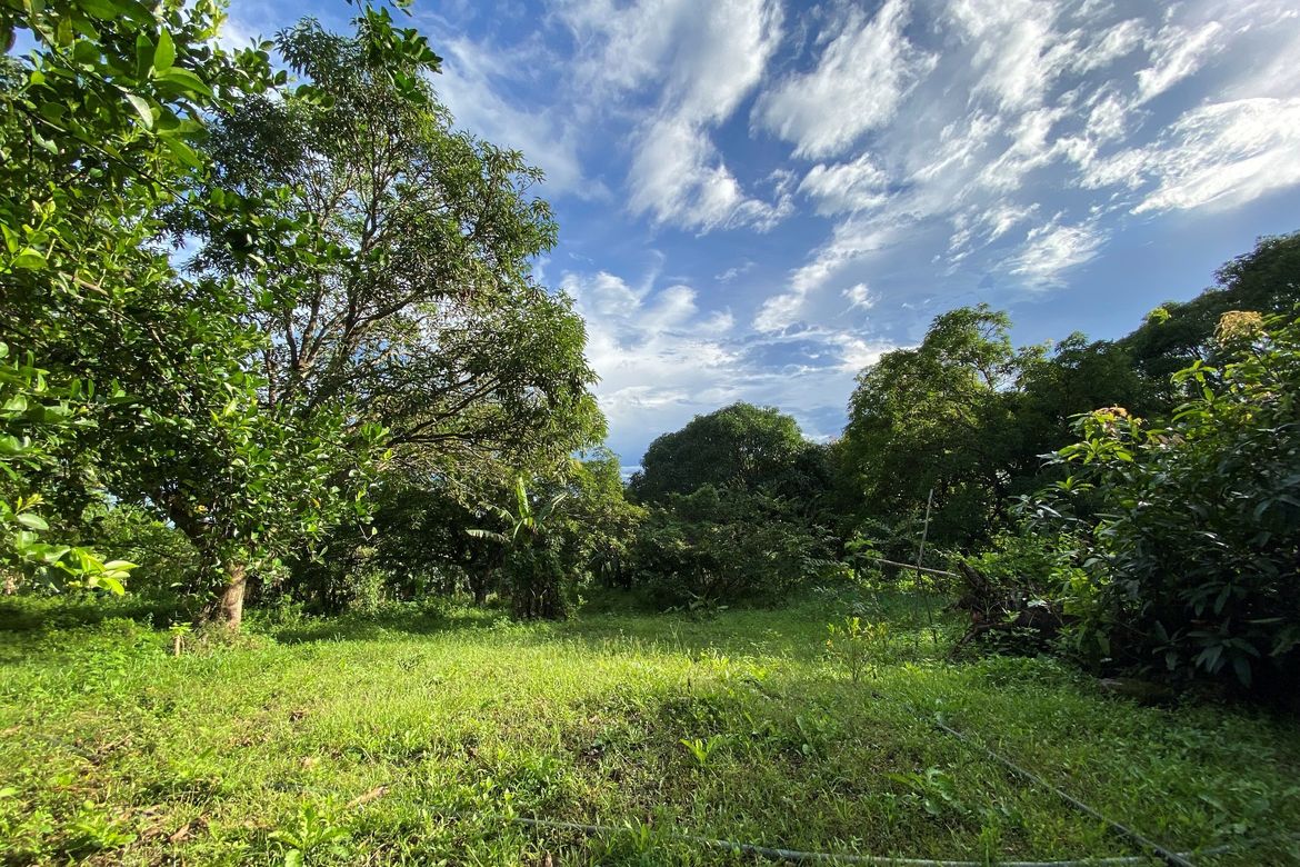 Land for Sale in Bulusukan, San Ildefonso, Bulacan – photo 4