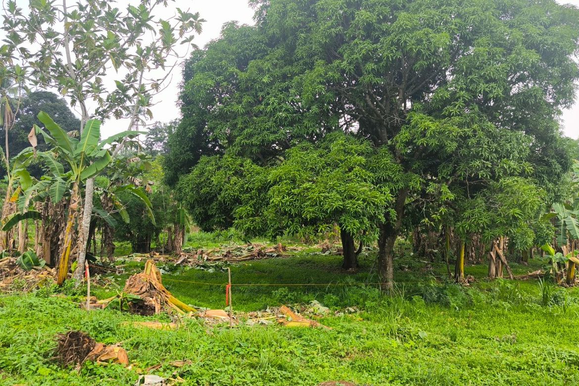 Land for Sale in Buna Cerca, Indang, Cavite – photo 2