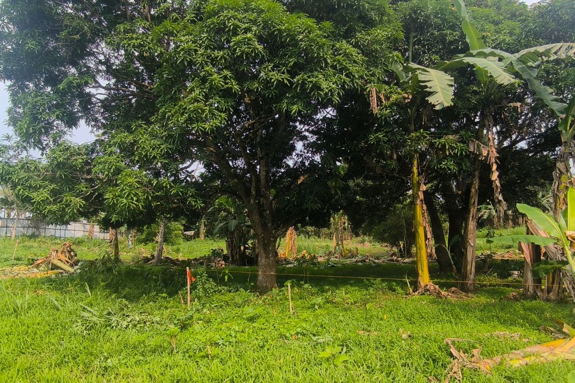 Land for Sale in Buna Cerca, Indang, Cavite – photo 3