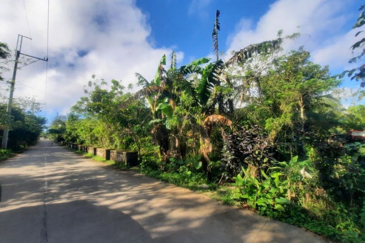 Land for Sale in Buna Lejos II, Indang, Cavite – photo 3