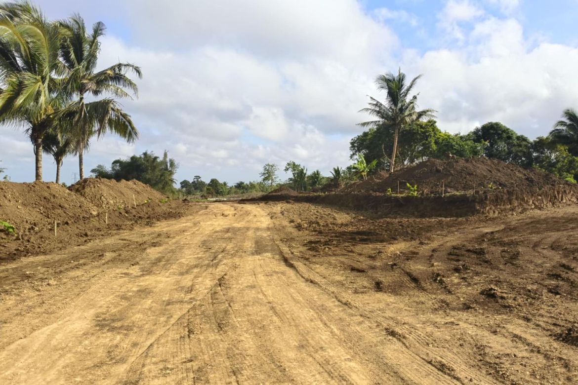 Land for Sale in Buna Lejos II, Indang, Cavite – photo 2