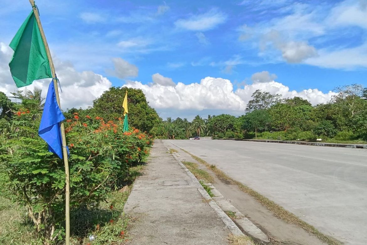 Land for Sale in Buna Lejos II, Indang, Cavite – photo 3