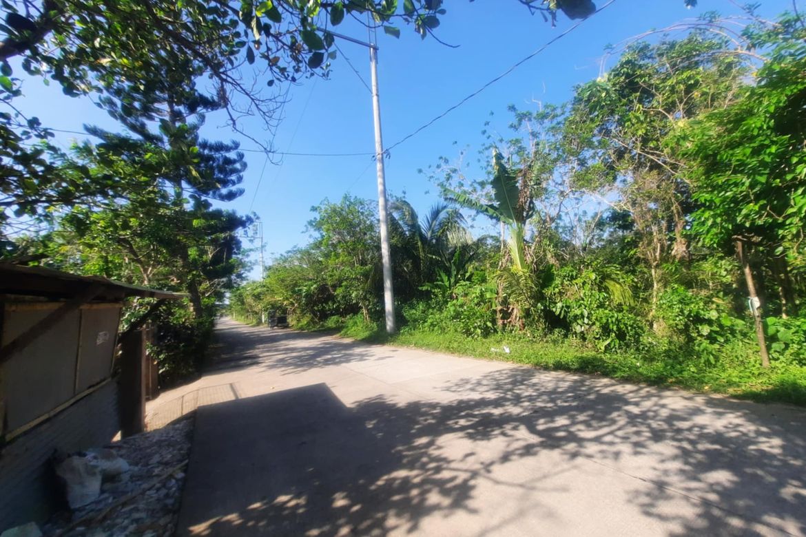 Land for Sale in Buna Lejos II, Indang, Cavite – photo 4