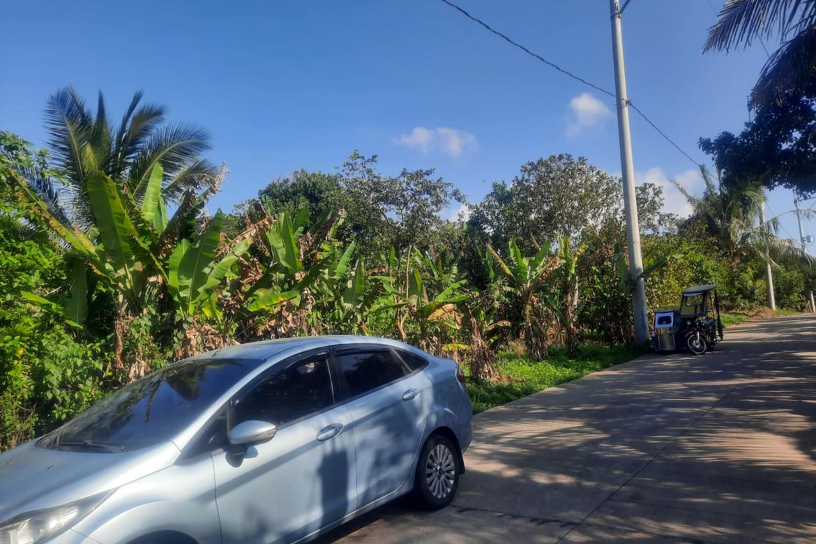 Land for Sale in Buna Lejos II, Indang, Cavite – photo 6