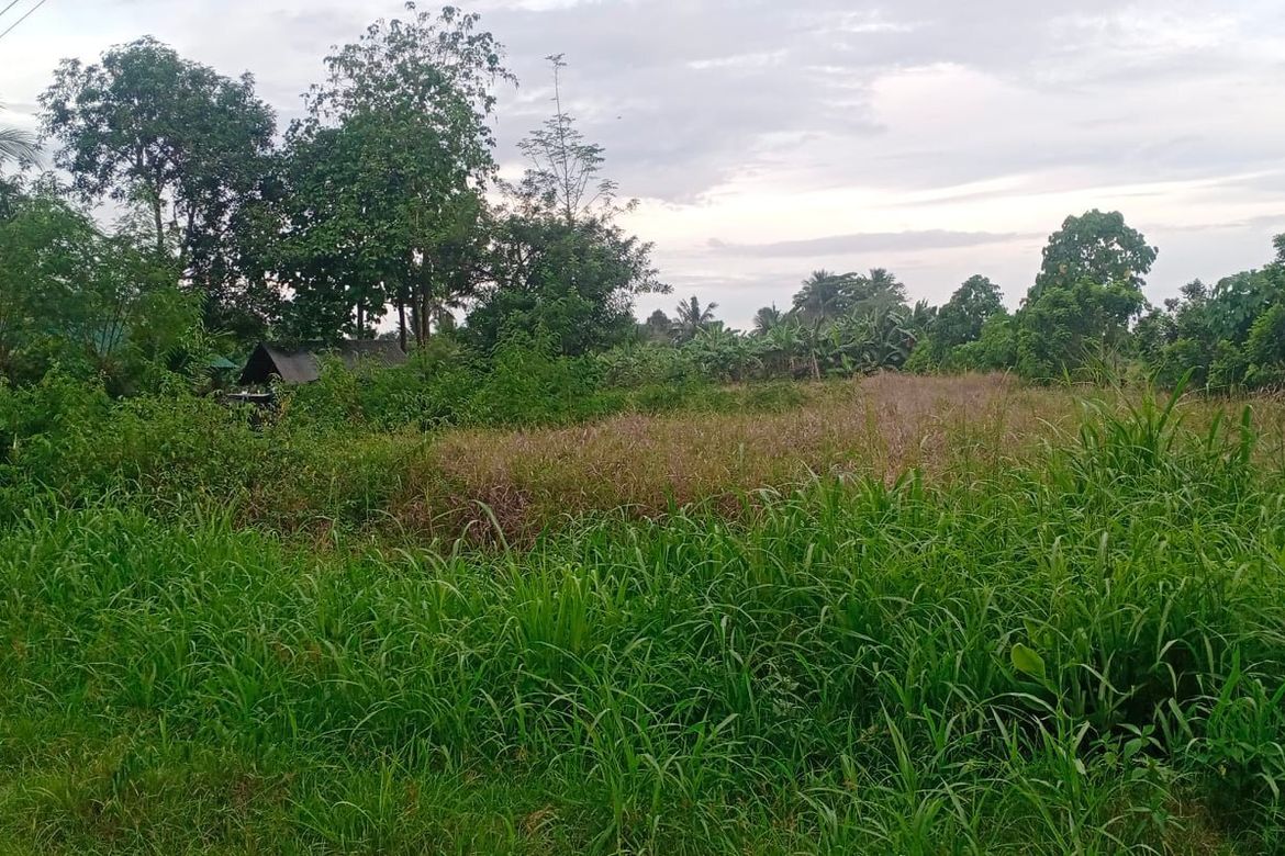 Land for Sale in Bunawan, Davao City, Davao del Sur