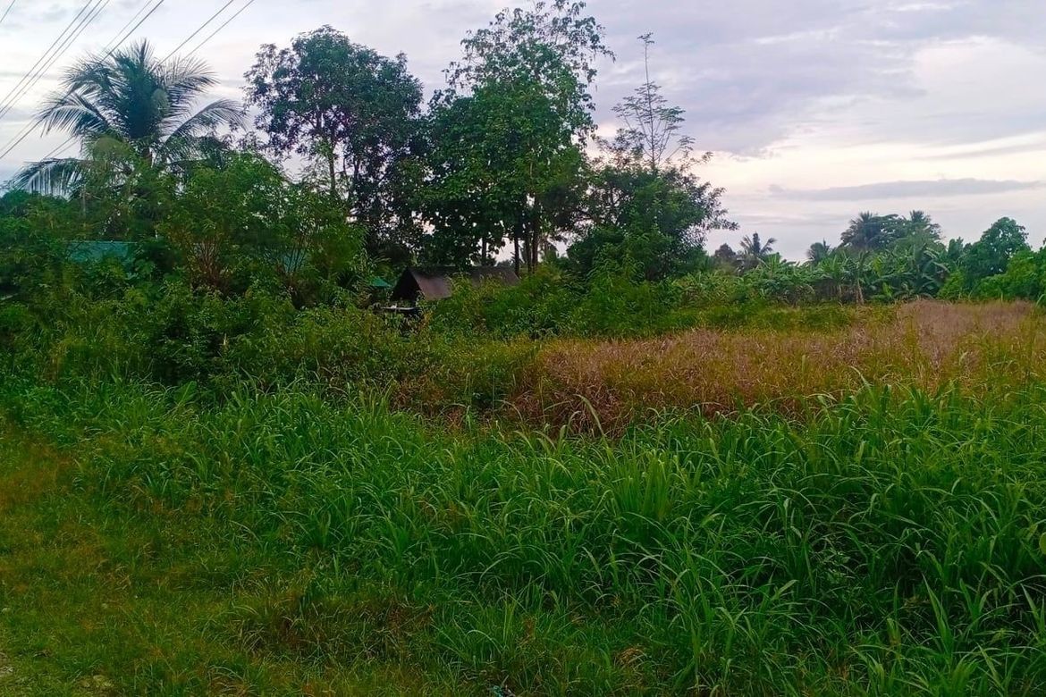 Land for Sale in Bunawan, Davao City, Davao del Sur – photo 4
