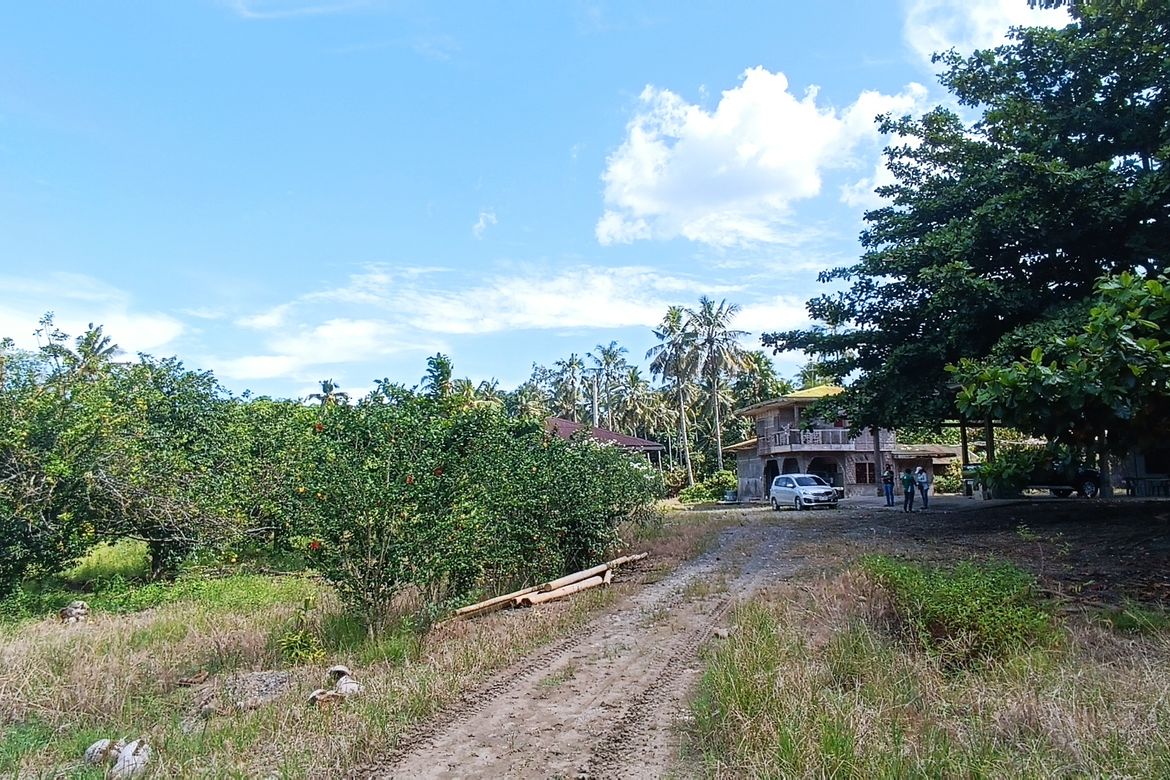 Land for Sale in Bunawan, Davao City, Davao del Sur