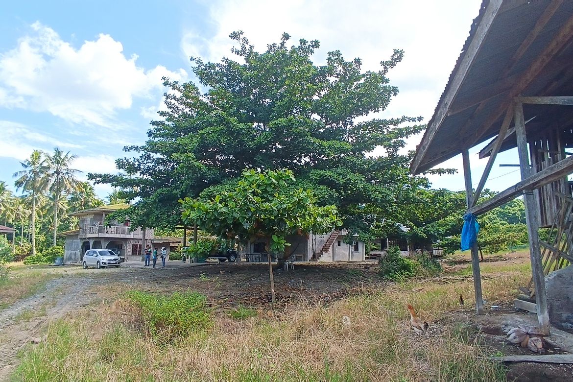 Land for Sale in Bunawan, Davao City, Davao del Sur – photo 8