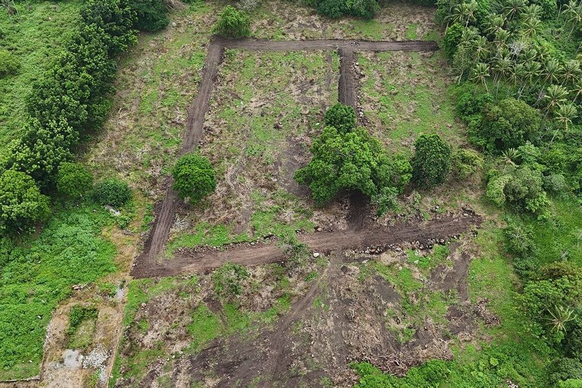 Land for Sale in Bunga, Dauin, Negros Oriental – photo 4