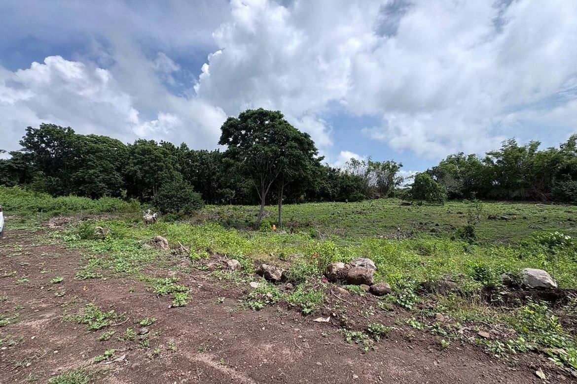 Land for Sale in Bunga, Dauin, Negros Oriental – photo 6