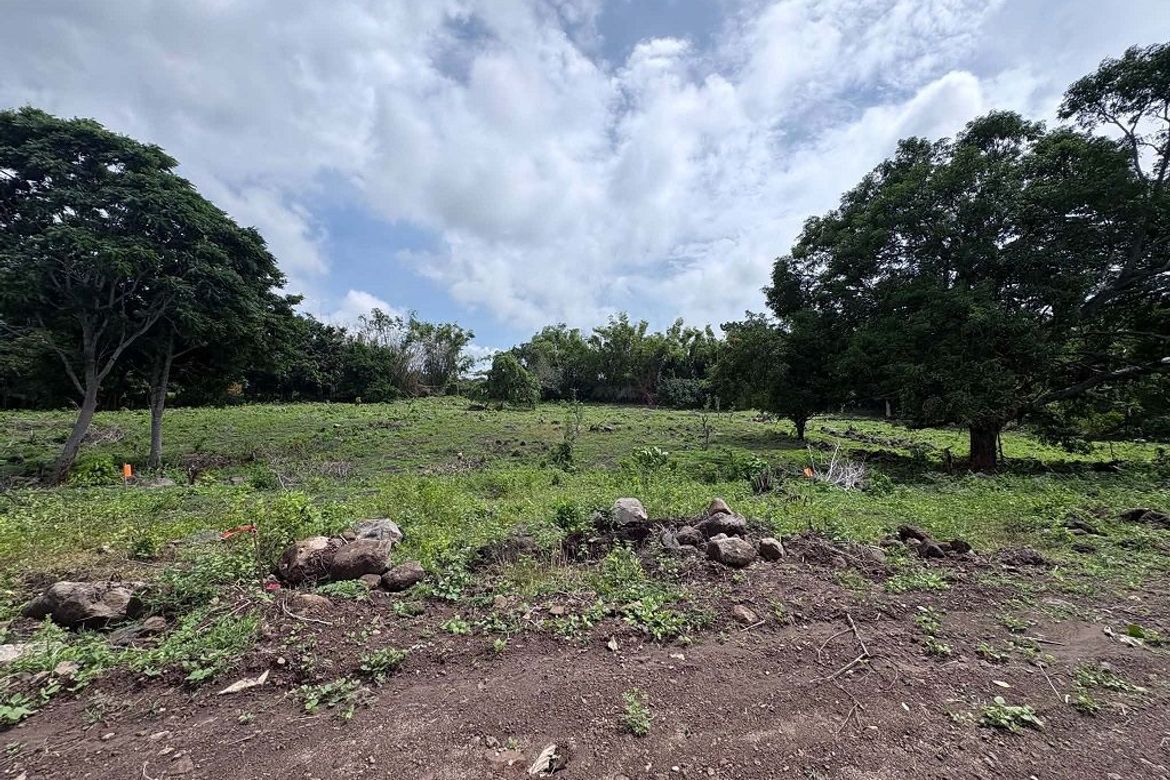 Land for Sale in Bunga, Dauin, Negros Oriental – photo 8