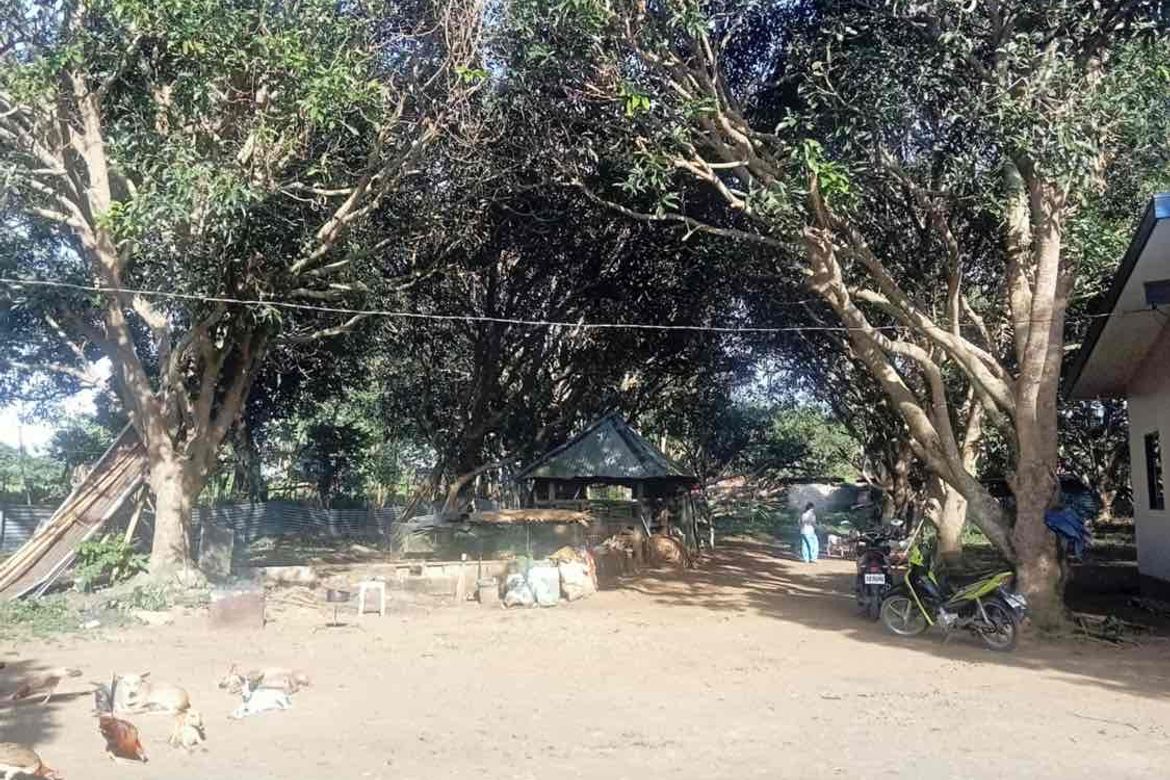 Land for Sale in Bungahan, Cuenca, Batangas – photo 3