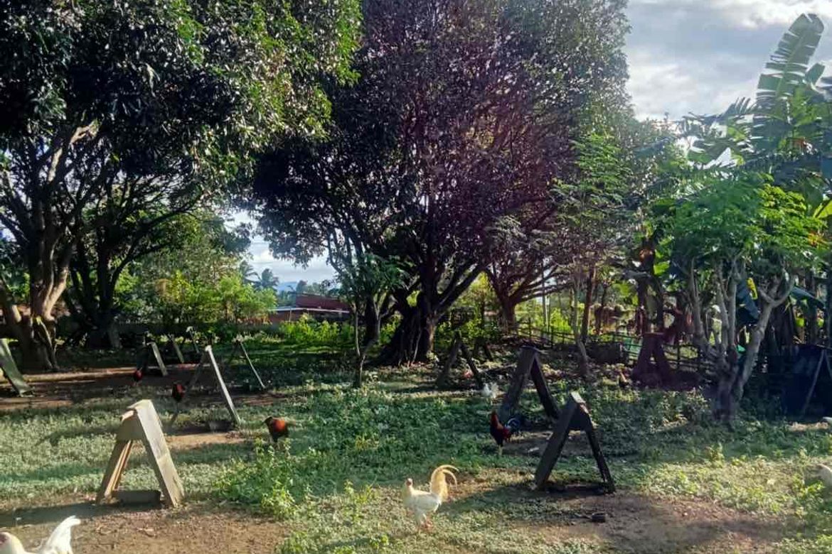 Land for Sale in Bungahan, Cuenca, Batangas – photo 4