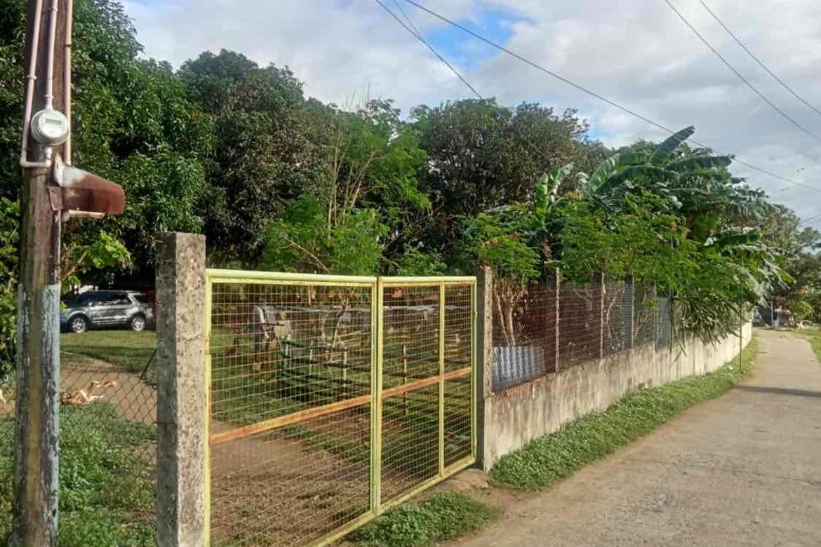 Land for Sale in Bungahan, Cuenca, Batangas – photo 8
