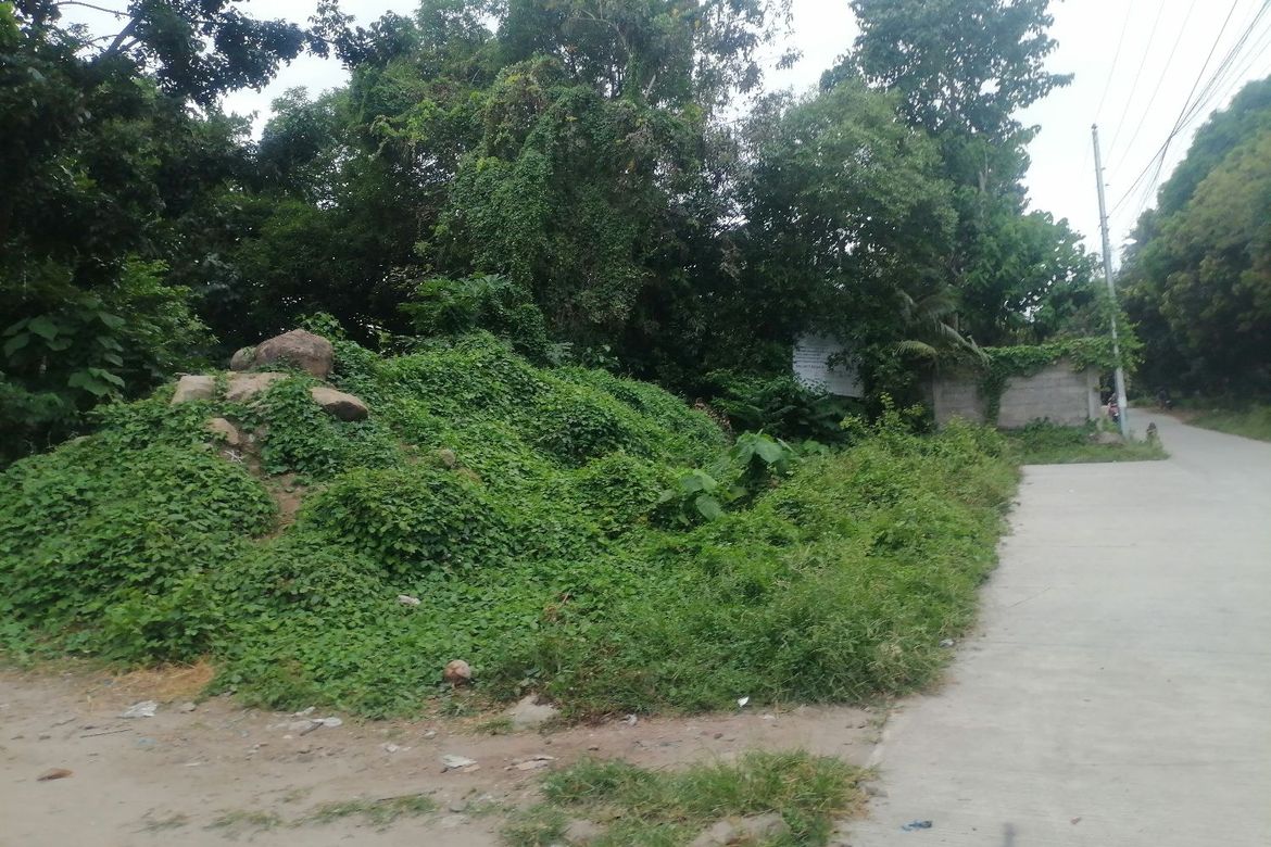 Land for Sale in Buntis, Bacong, Negros Oriental