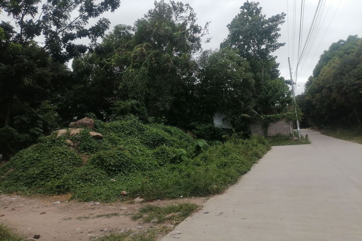 Land for Sale in Buntis, Bacong, Negros Oriental – photo 3