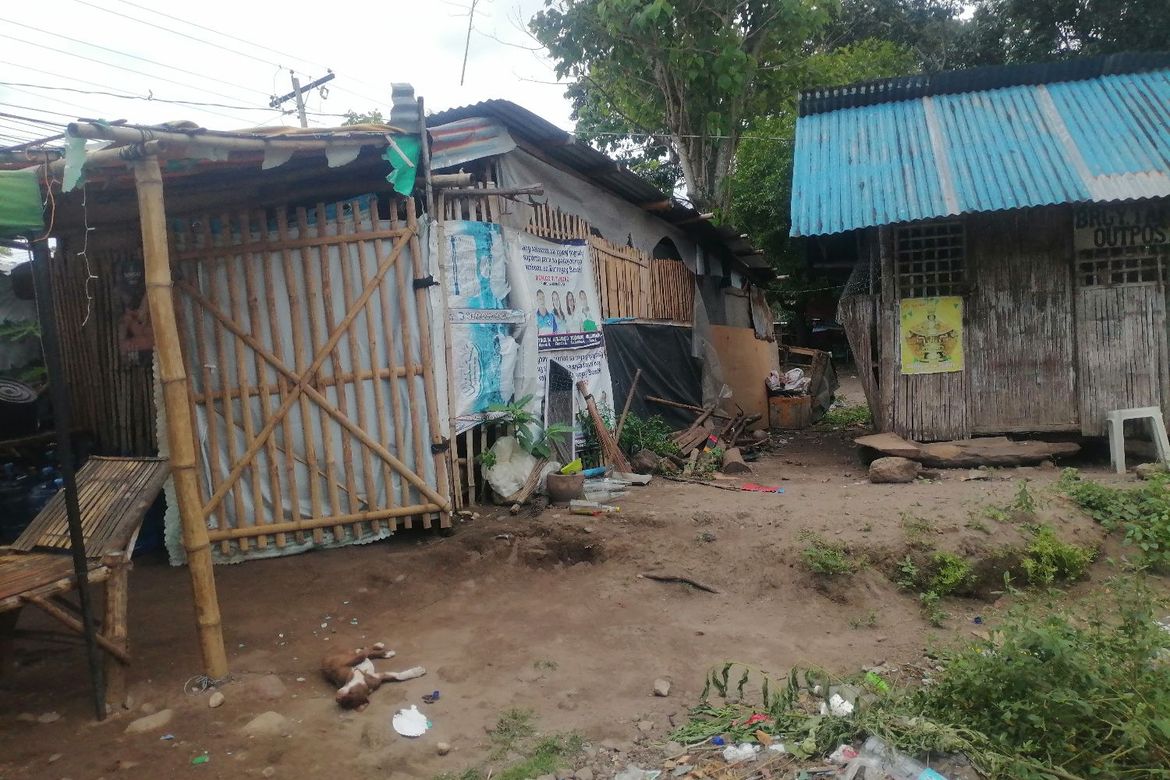 Land for Sale in Buntis, Bacong, Negros Oriental – photo 4