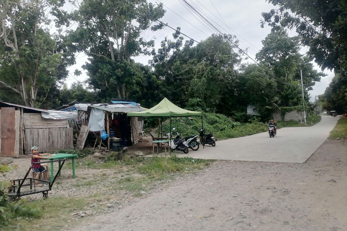 Land for Sale in Buntis, Bacong, Negros Oriental – photo 5