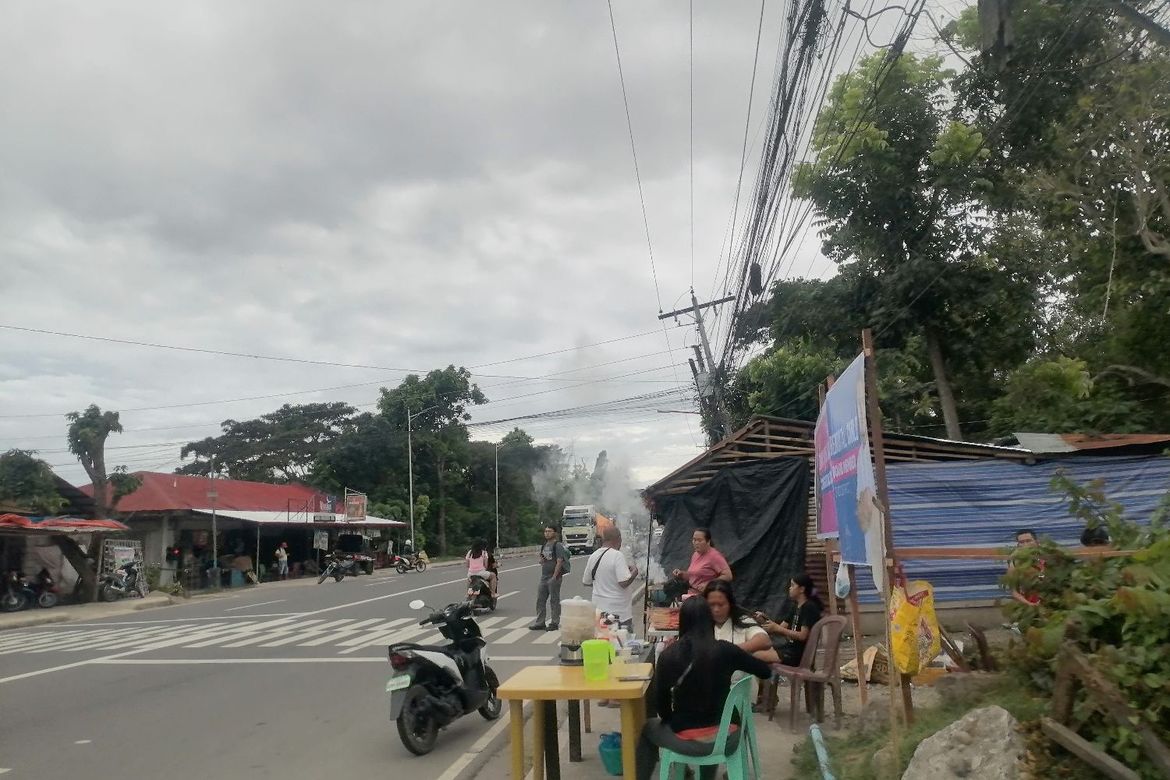 Land for Sale in Buntis, Bacong, Negros Oriental – photo 6