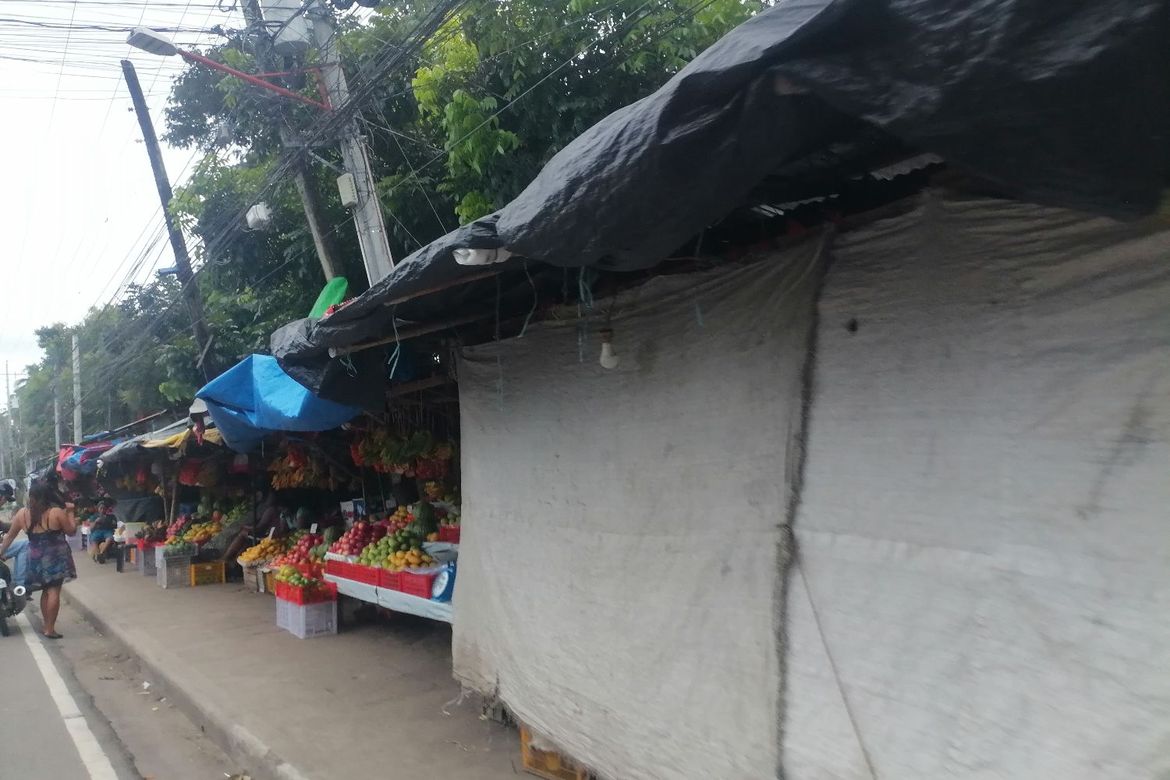 Land for Sale in Buntis, Bacong, Negros Oriental – photo 8