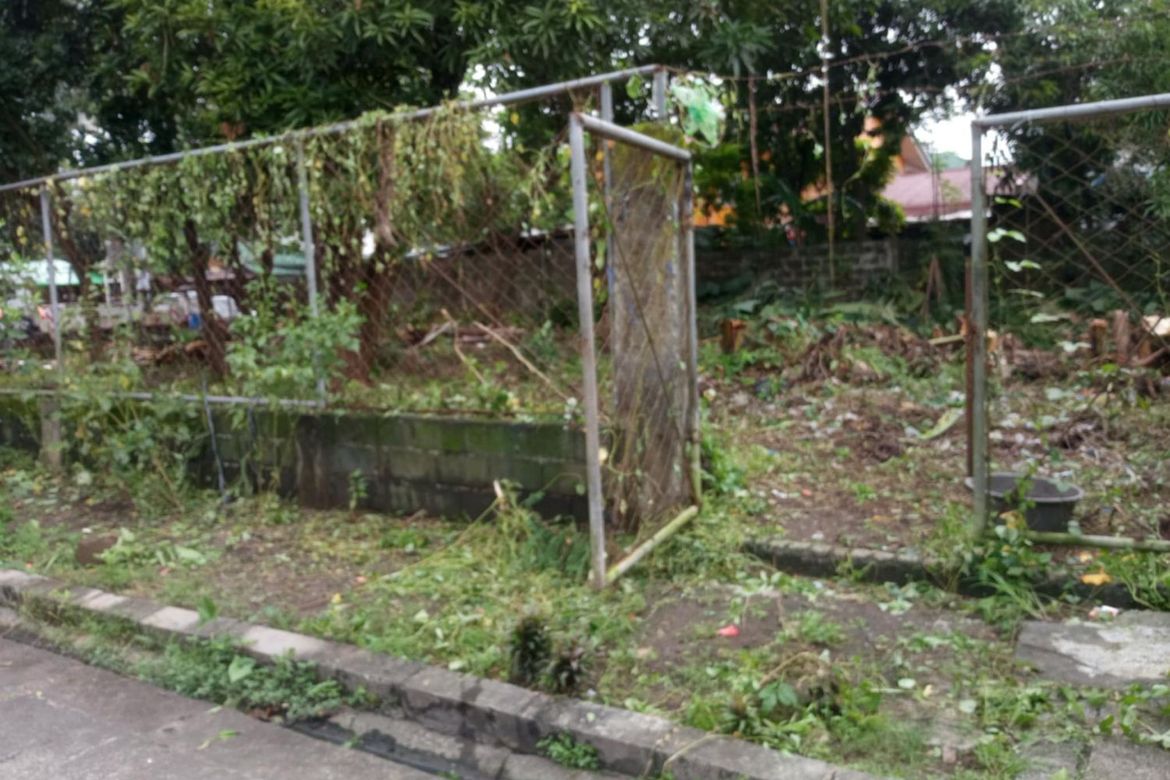 Land for Sale in Burgos, Rodriguez, Rizal – photo 2
