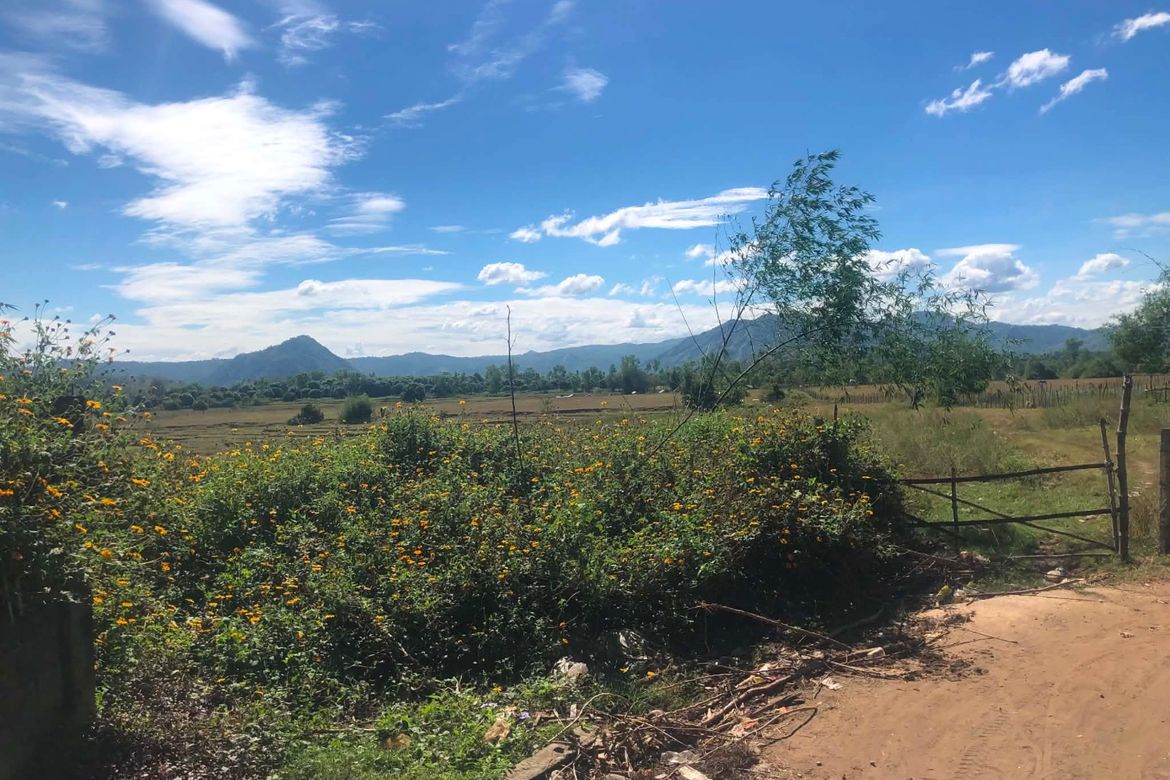 Land for Sale in Burgos, San Jose, Tarlac
