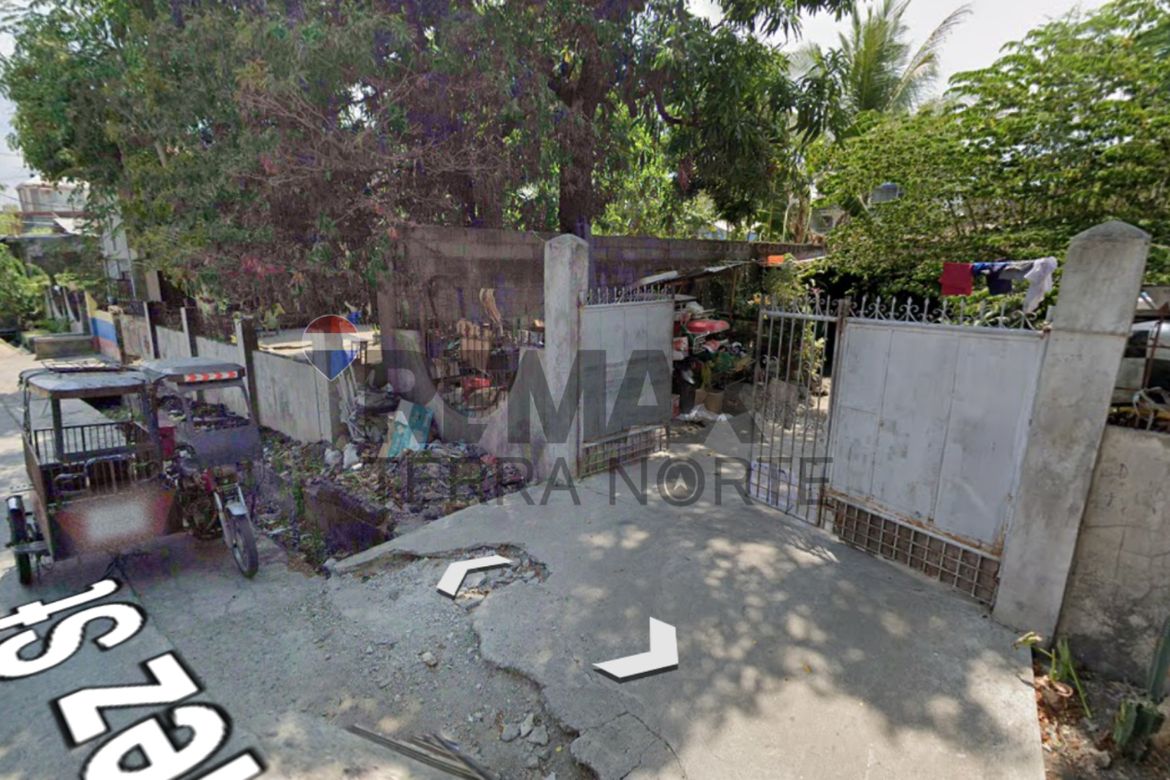 Land for Sale in Burgos Street, Mangatarem, Pangasinan – photo 2