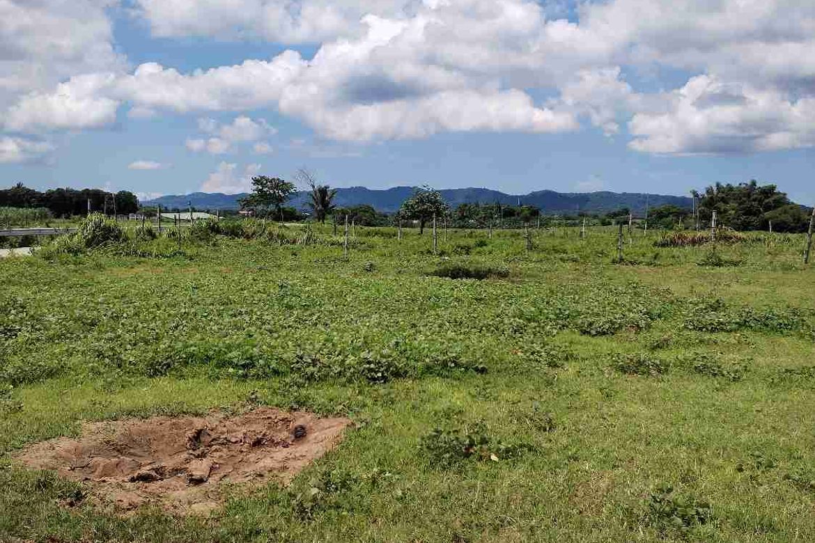 Land for Sale in Burgos, Tuy, Batangas – photo 8