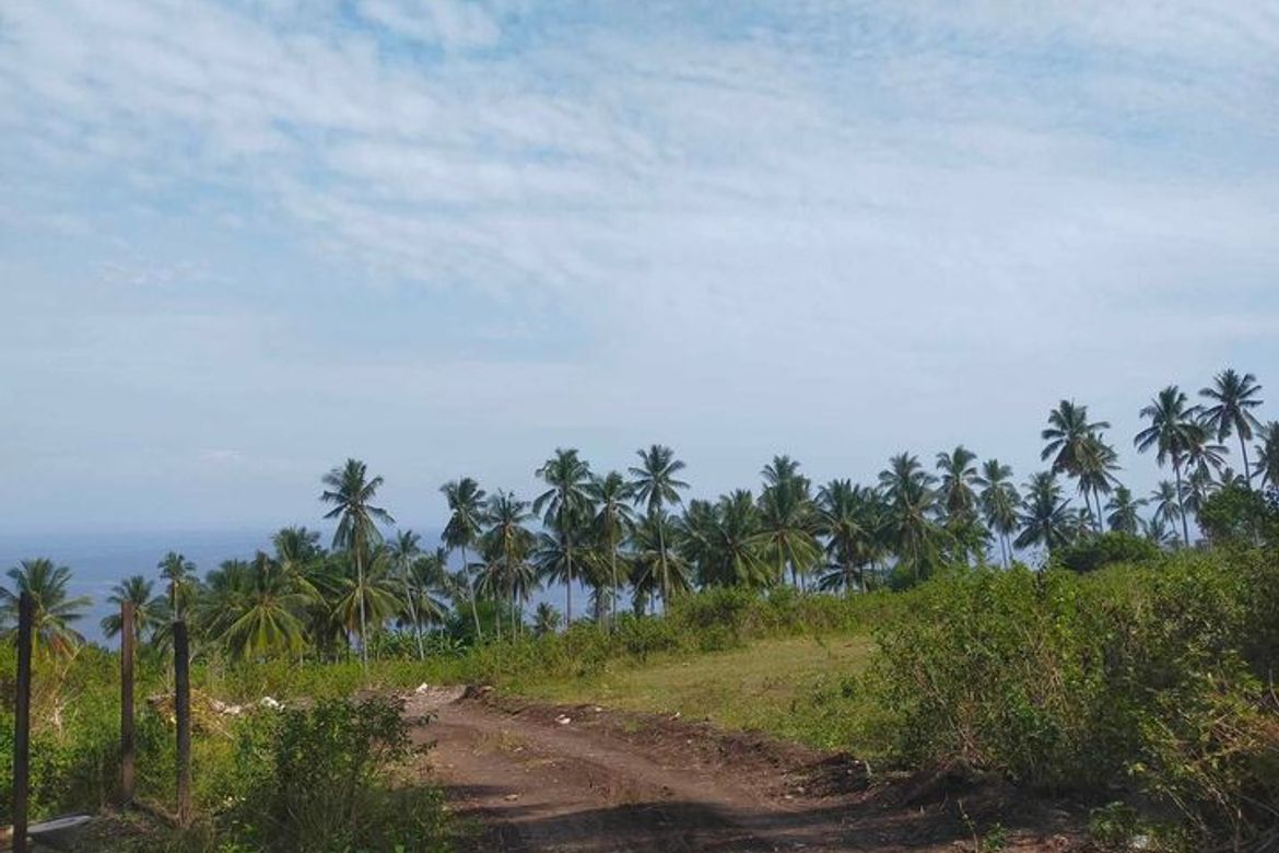 Land for Sale in Burias, Glan, Sarangani – photo 2