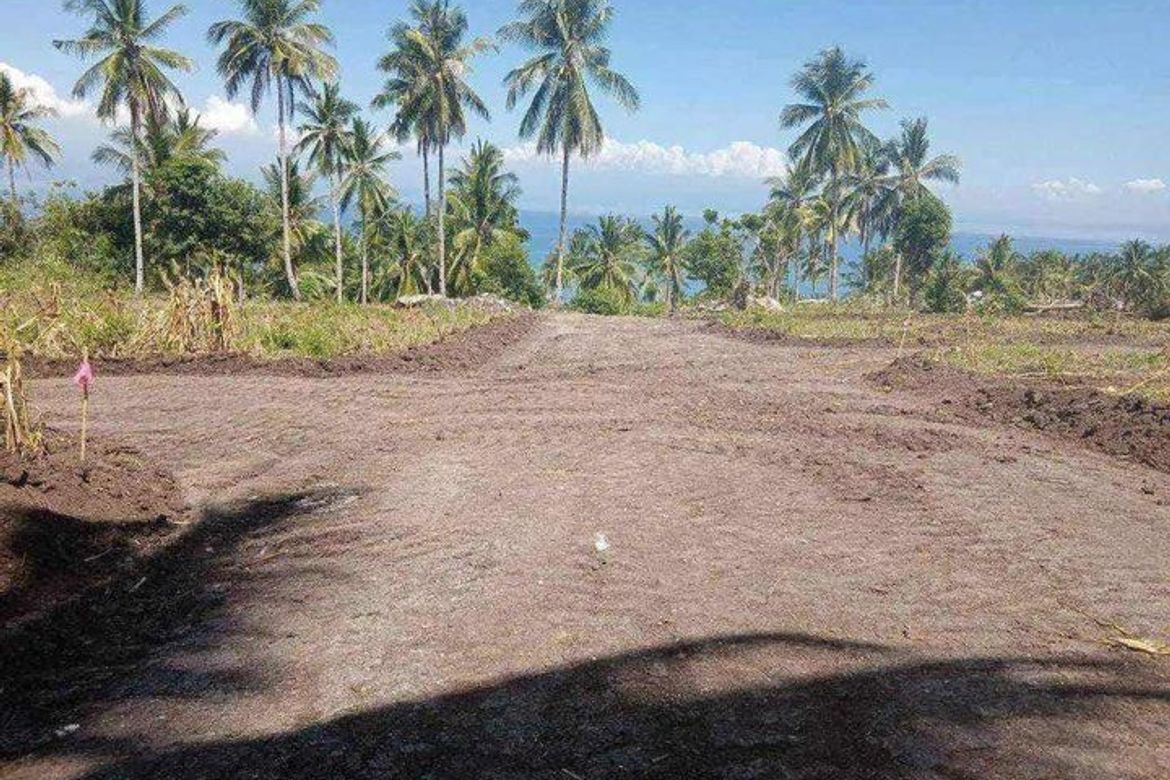 Land for Sale in Burias, Glan, Sarangani – photo 4