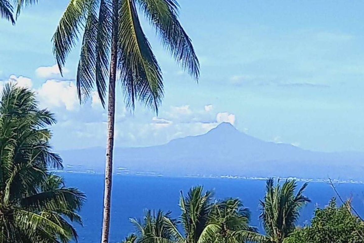 Land for Sale in Burias, Glan, Sarangani – photo 7