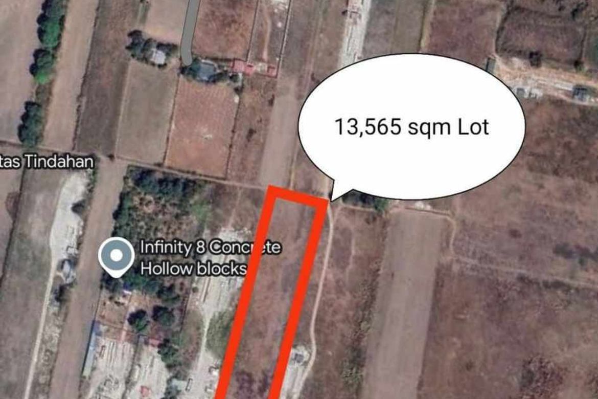 Land for Sale in Burot, Tarlac, Tarlac – photo 2