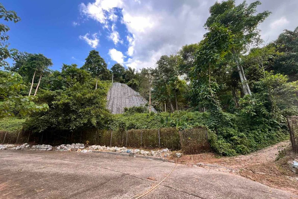 Land for Sale in Busay, Cebu City, Cebu – photo 2