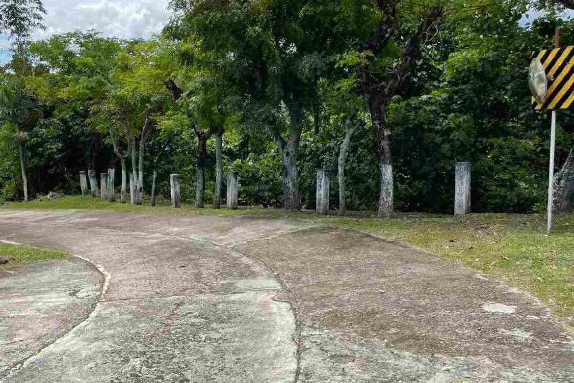 Land for Sale in Busay, Cebu City, Cebu – photo 5