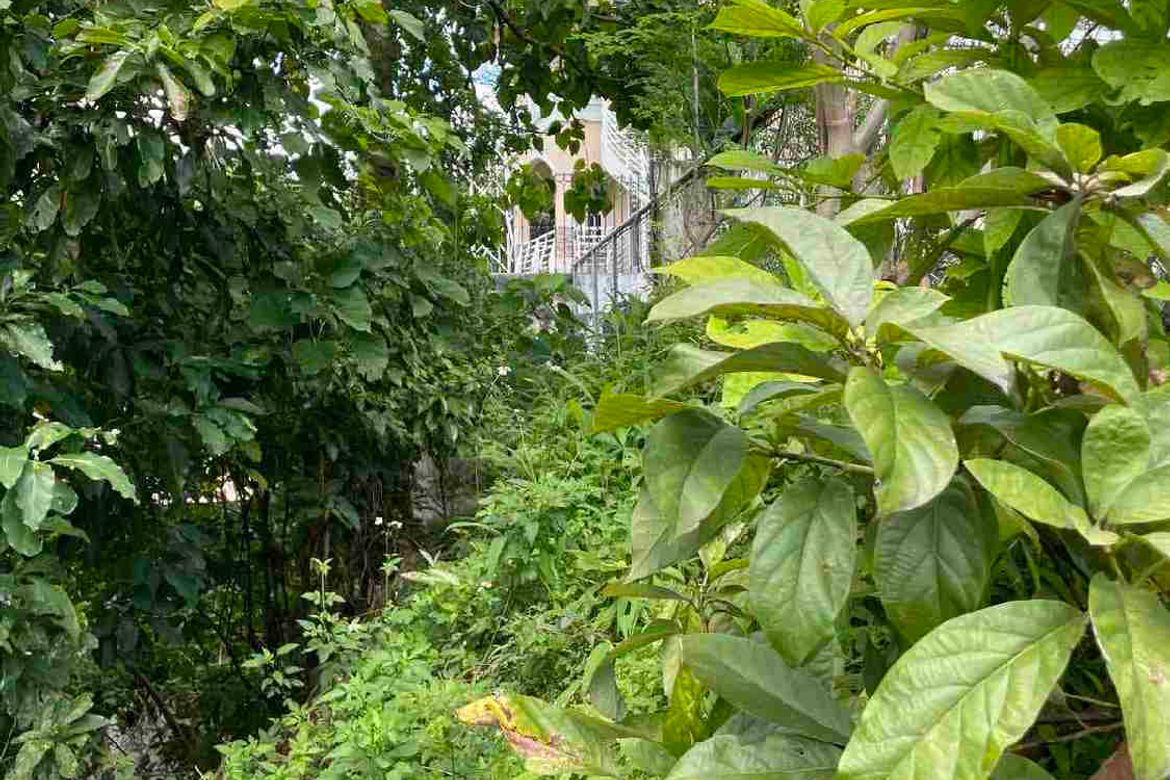 Land for Sale in Busay, Cebu City, Cebu – photo 6