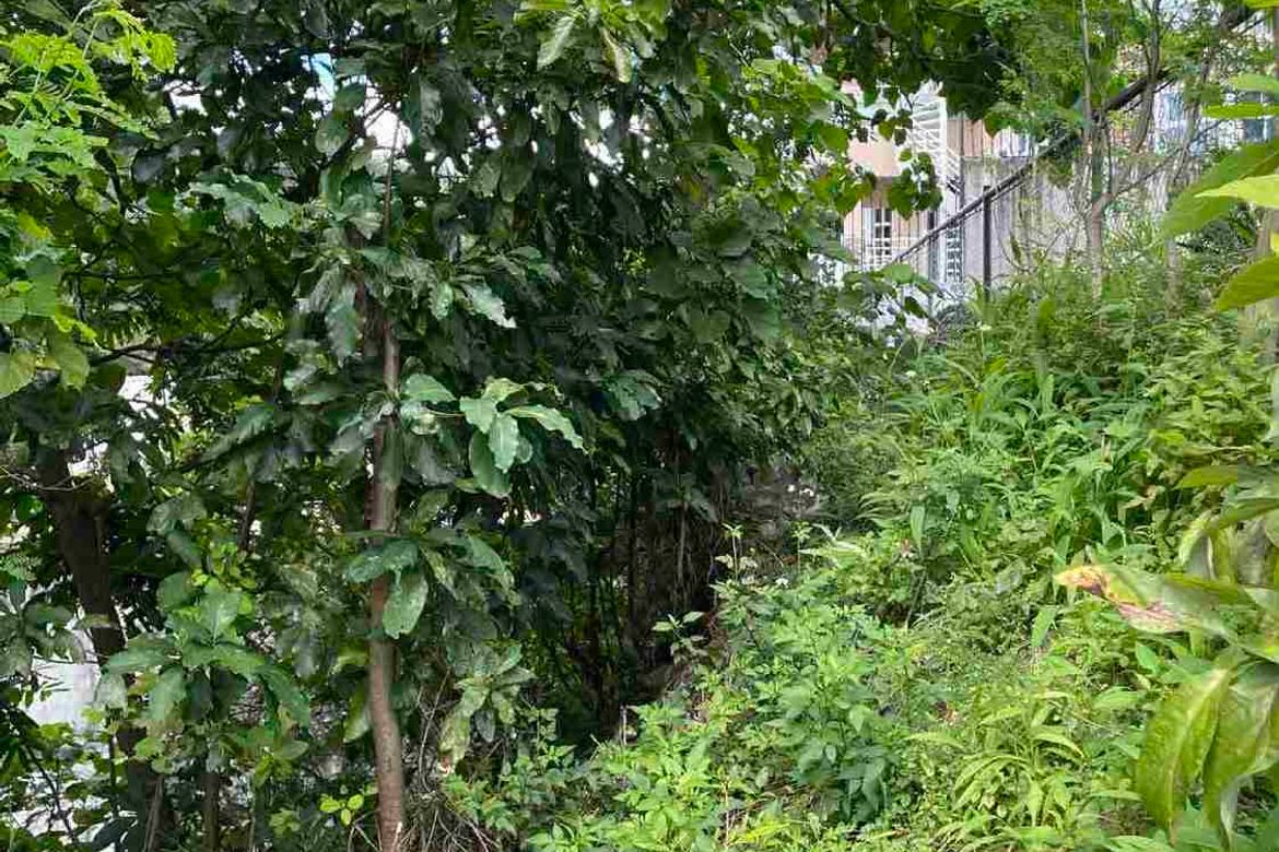 Land for Sale in Busay, Cebu City, Cebu – photo 7