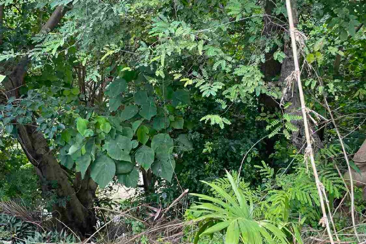 Land for Sale in Busay, Cebu City, Cebu – photo 8