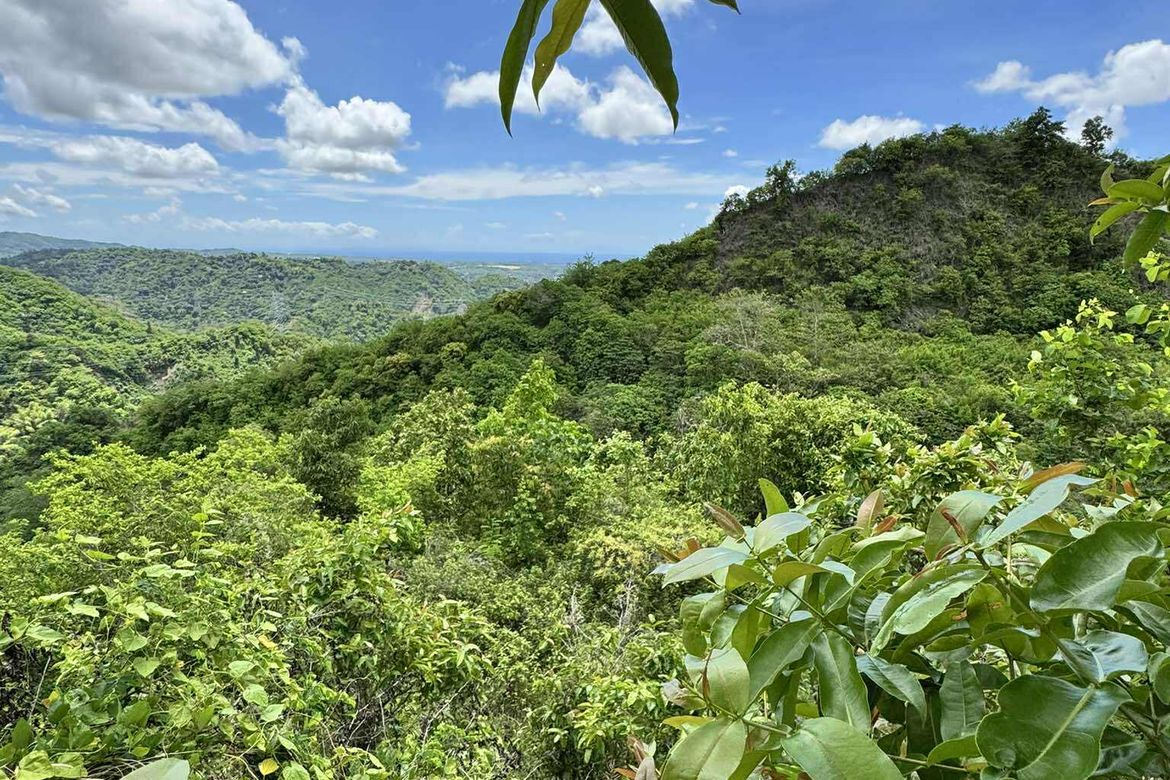 Land for Sale in Busay, Cebu City, Cebu – photo 4