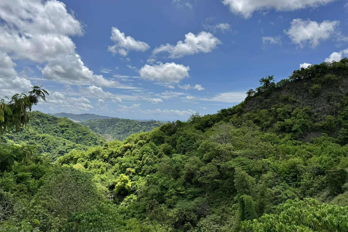 Land for Sale in Busay, Cebu City, Cebu – photo 6