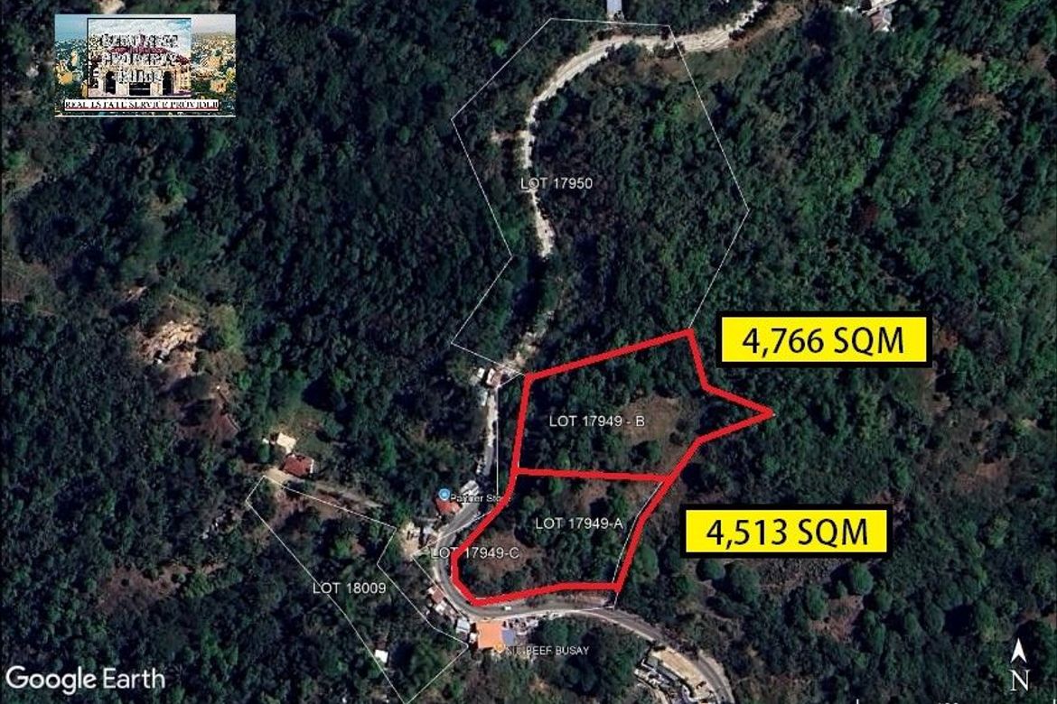 Land for Sale in Busay, Cebu City, Cebu – photo 6