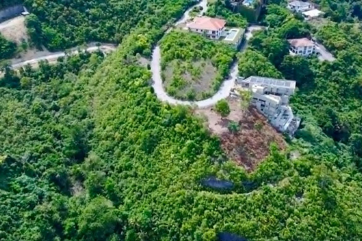 Land for Sale in Busay, Cebu City, Cebu – photo 5