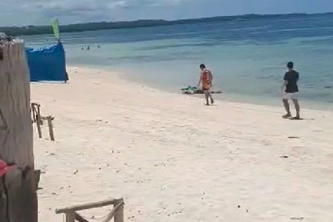 Land for Sale in Busogon, San Remigio, Cebu – photo 3