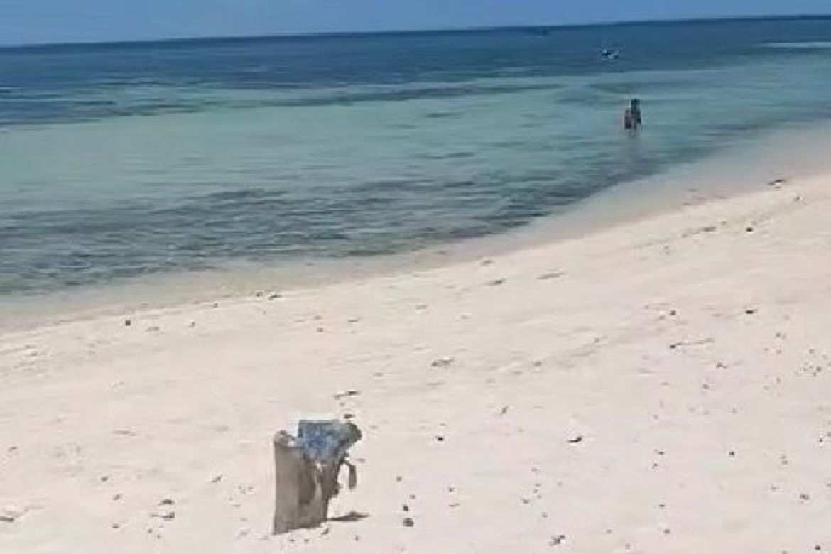 Land for Sale in Busogon, San Remigio, Cebu – photo 7